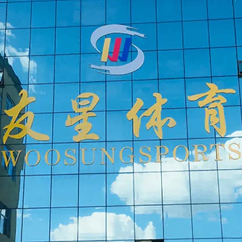Woosung's Development History And Future Prospects